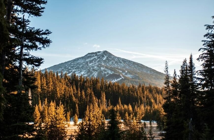 NAEGELI Deposition and Trial