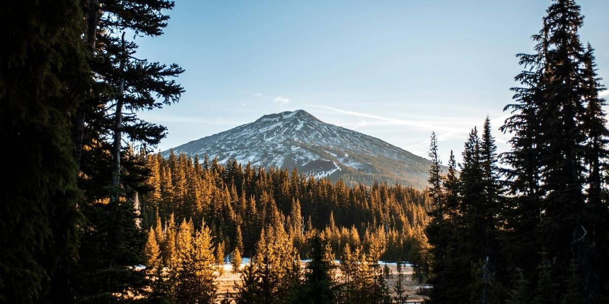 NAEGELI Deposition and Trial