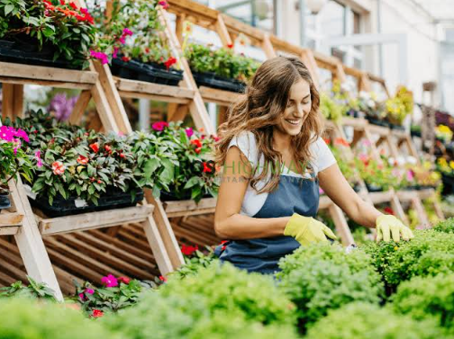 Garden Centers and Nurseries: Why Seasonal Retail Needs a Smarter Checkout